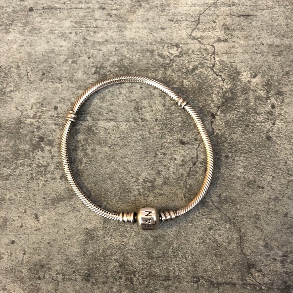 Pandora Charm Bracelet - Picture 3 of 3